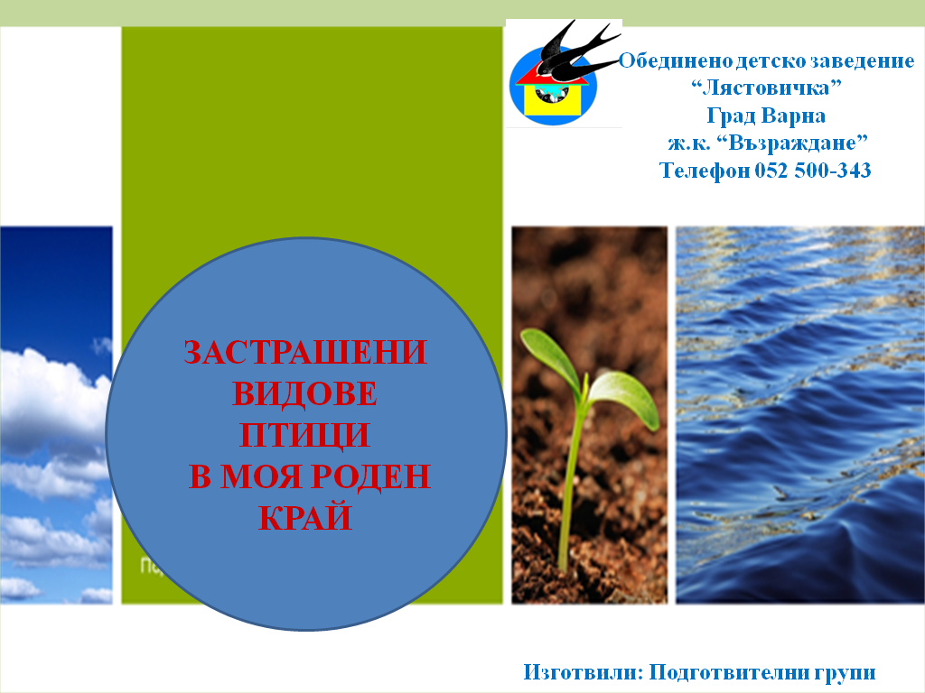 Заглавна страница