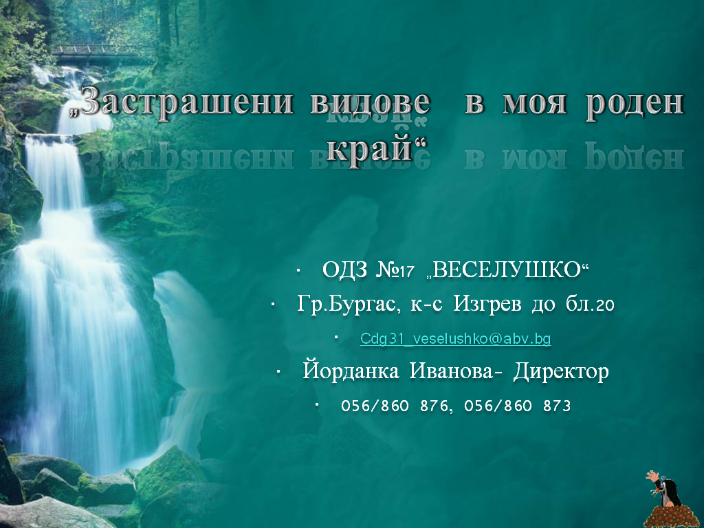 Заглавна страница