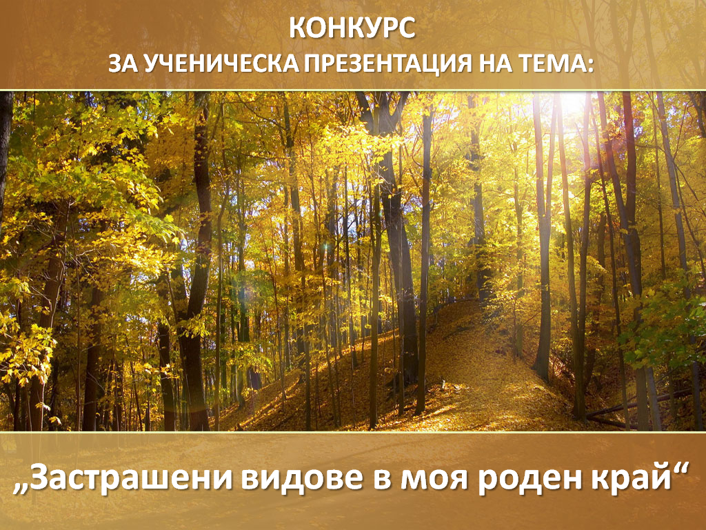 Заглавна страница
