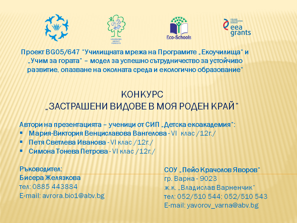 Заглавна страница