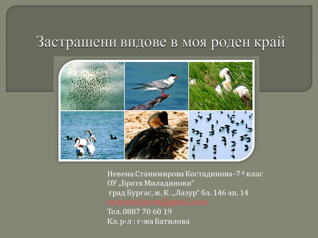 Заглавна страница